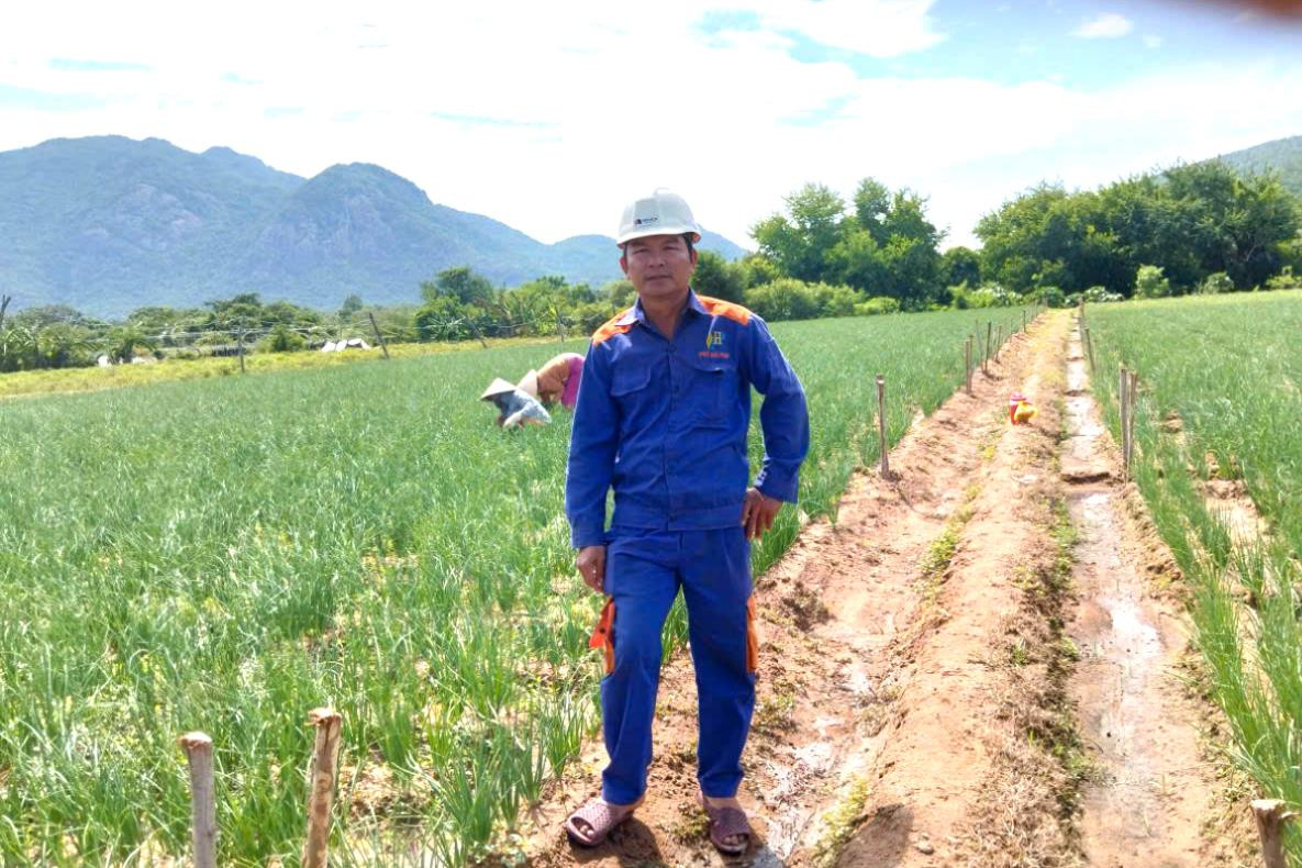 Hành tím “thơm” vùng nắng gió Đông Nam Lâm Đồng