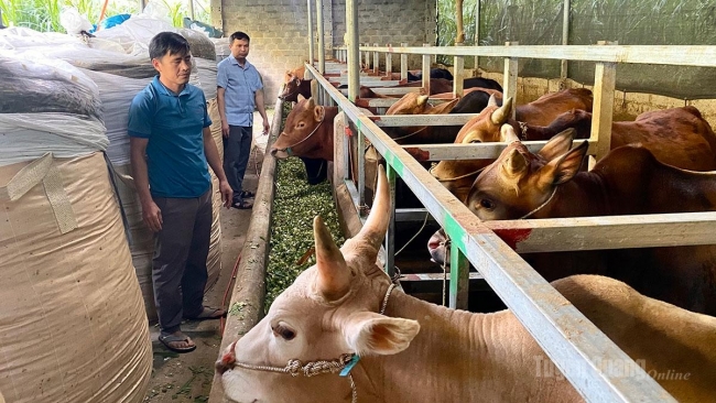 Tuyên Quang: Thay đổi nếp nghĩ, cách làm