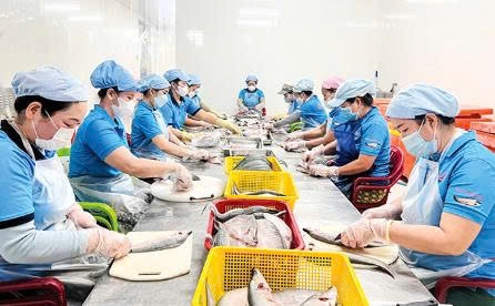 OCOP Cần Thơ: Bệ phóng nâng tầm giá trị sản phẩm