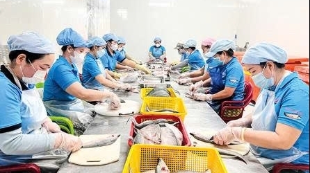 OCOP Cần Thơ: Bệ phóng nâng tầm giá trị sản phẩm