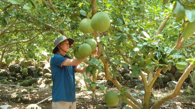 Lâm Đồng: Lương Sơn phát huy hiệu quả công trình thủy lợi, nâng...