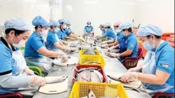OCOP Cần Thơ: Bệ phóng nâng tầm giá trị sản phẩm