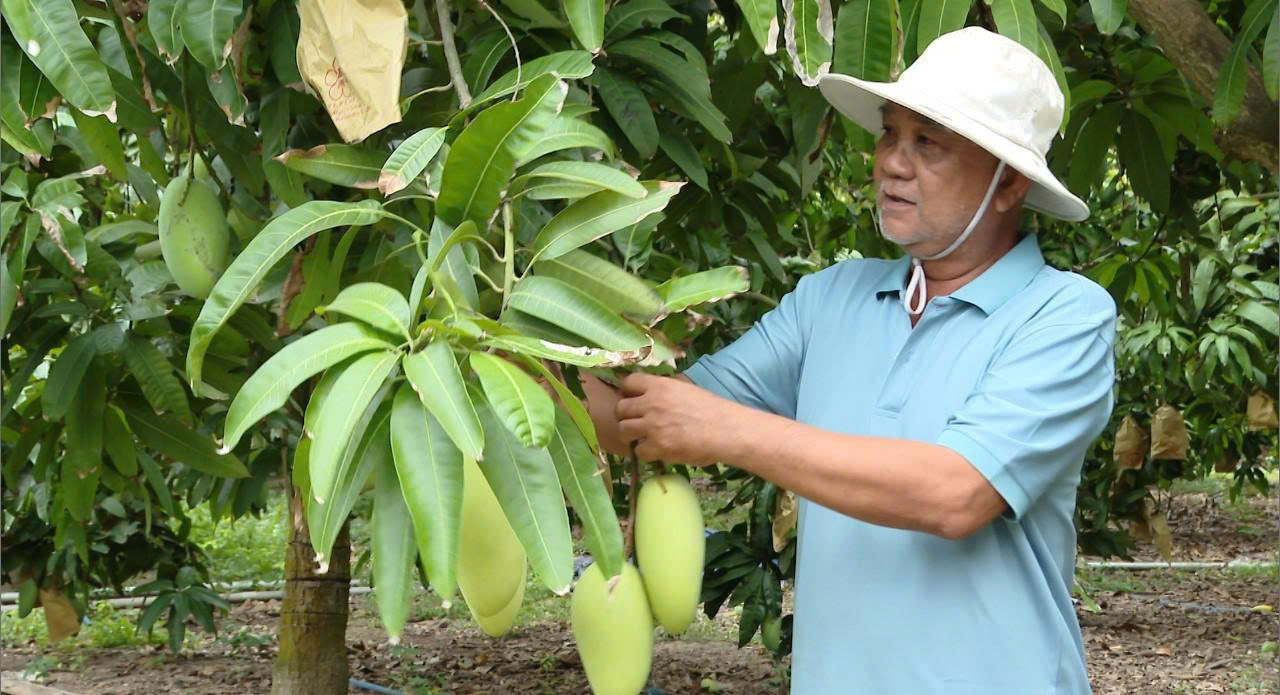 Lâm Đồng: Lương Sơn phát huy hiệu quả công trình thủy lợi, nâng...