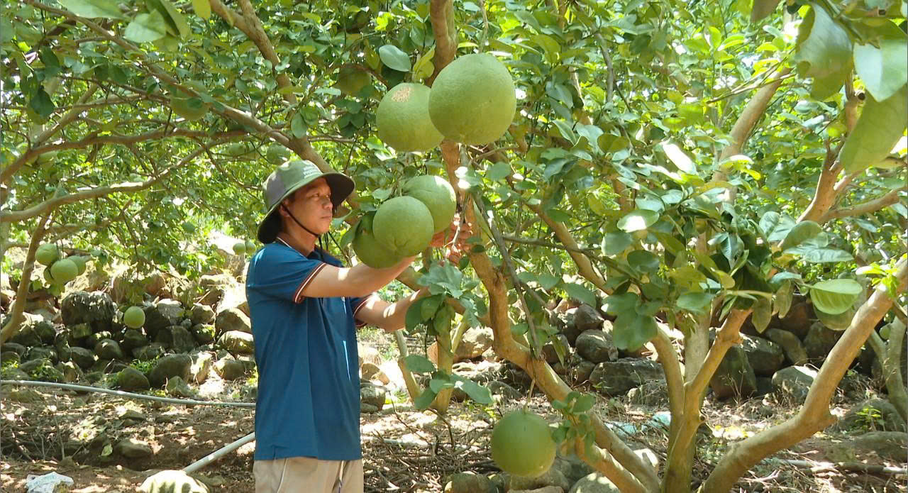 Lâm Đồng: Lương Sơn phát huy hiệu quả công trình thủy lợi, nâng...