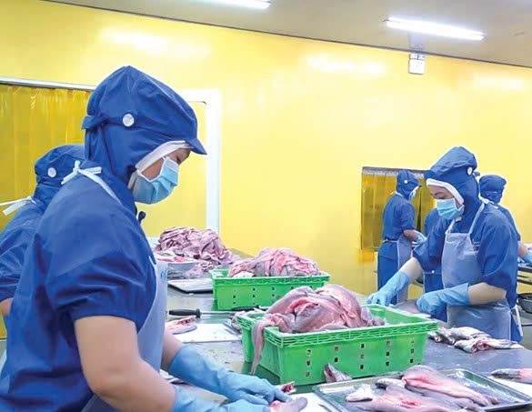 Cần Thơ: Tháo gỡ khó khăn, tăng tốc giải ngân vốn đầu tư công