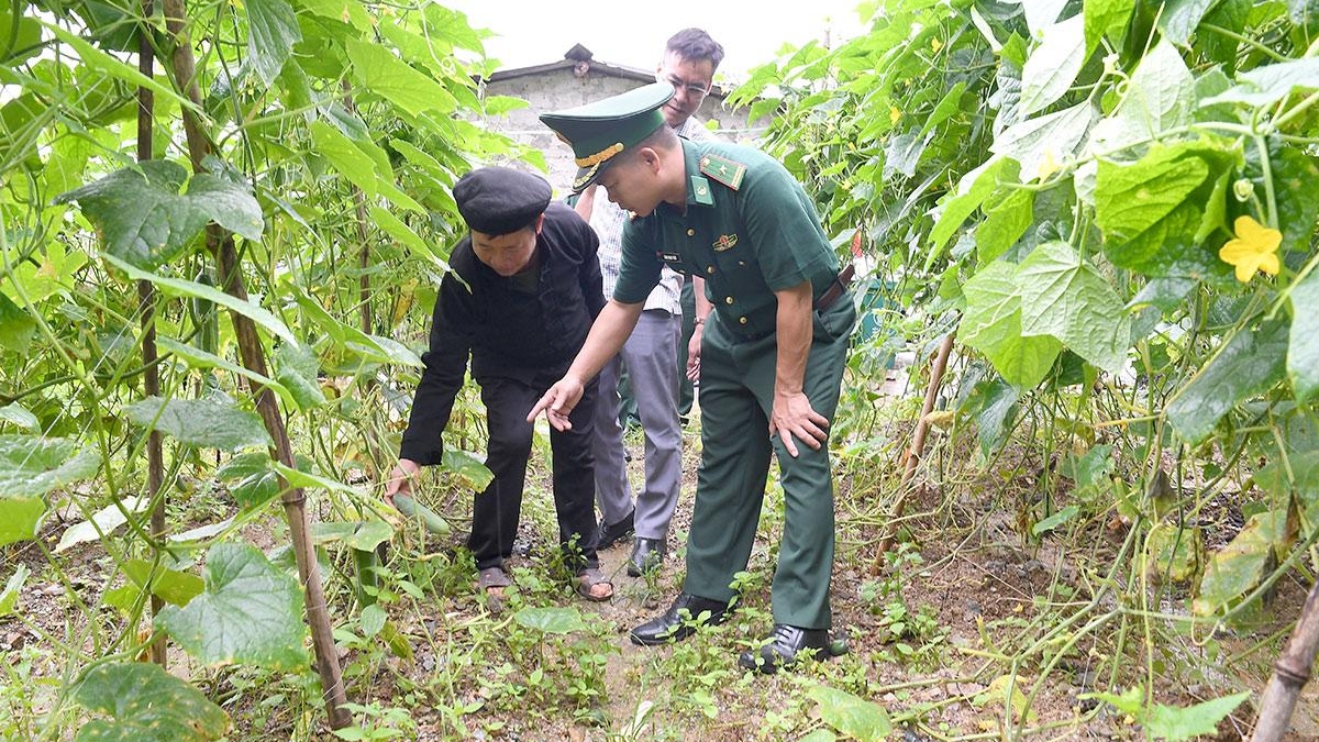 Tuyên Quang: Đánh thức tiềm năng kinh tế ở Nghĩa Thuận