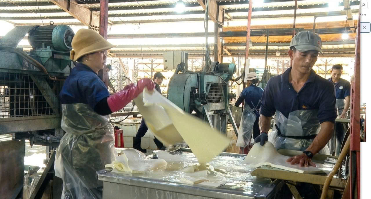 “Vàng trắng” tạo sức bật đưa kinh tế Đông Nam Lâm Đồng khởi sắc