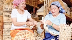 Cần Thơ: Tạo động lực phát triển cho hợp tác xã tiểu thủ công nghiệp