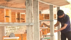 Lâm Đồng: Mũi Né phát triển vật nuôi phù hợp điều kiện tự nhiên