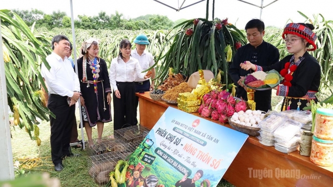 Tuyên Quang: Tân An ra mắt “Câu lạc bộ Thanh niên số”, “Tổ hội Nông dân số”