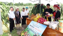 Tuyên Quang: Tân An ra mắt “Câu lạc bộ Thanh niên số”, “Tổ hội Nông dân số”
