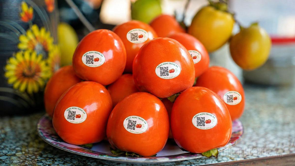Tuyên Quang: Mùa hồng Tràng Đà