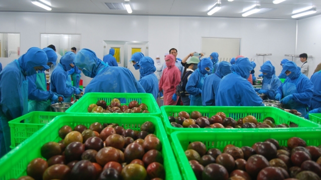 Lâm Đồng: Chuẩn hóa vùng chanh leo để mở rộng thị trường