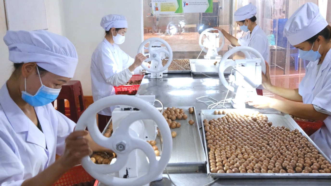 Lâm Đồng tìm "chìa khóa" tối ưu hóa nguồn thu từ xuất khẩu nông sản chủ lực