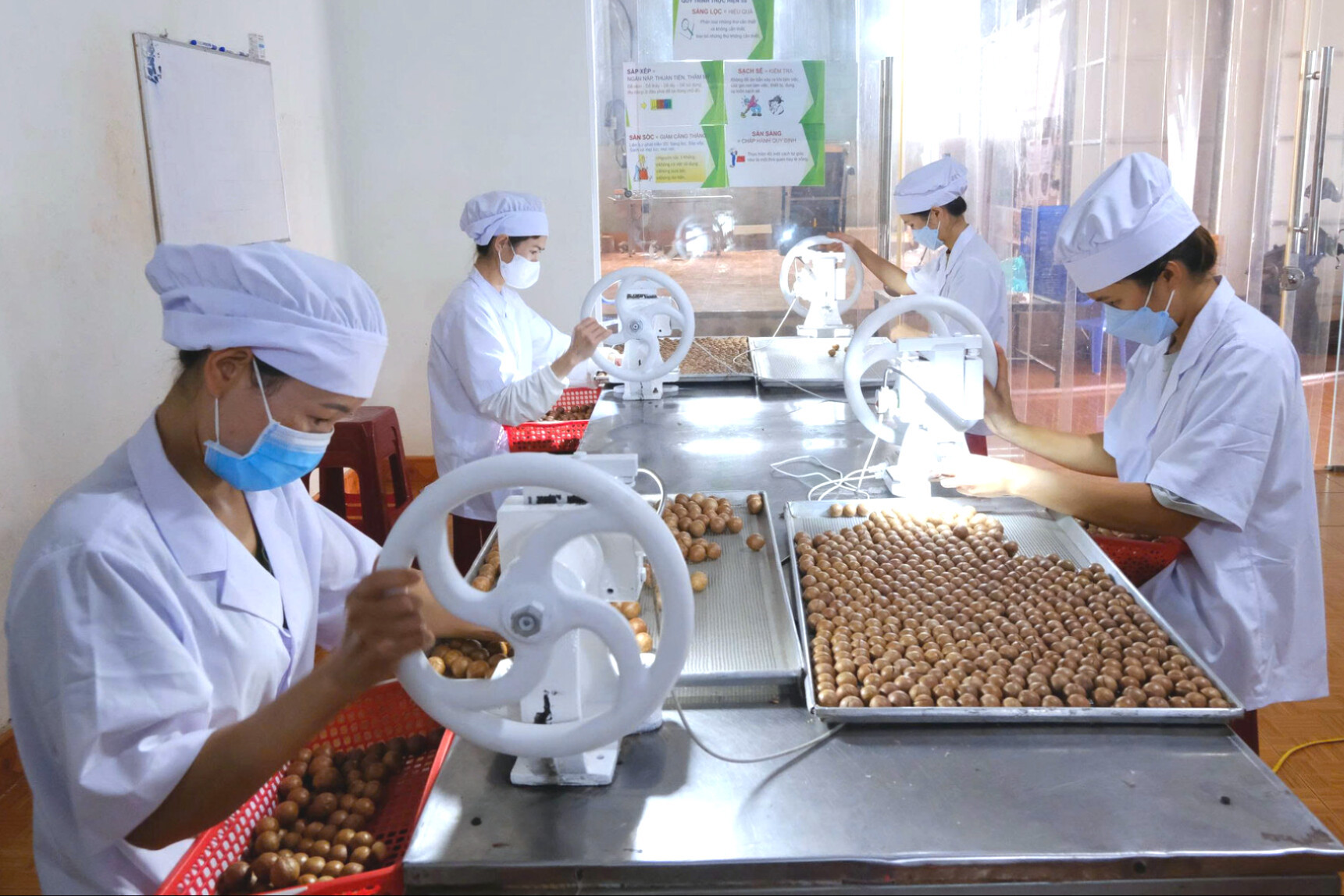 Lâm Đồng tìm "chìa khóa" tối ưu hóa nguồn thu từ xuất khẩu nông sản chủ lực