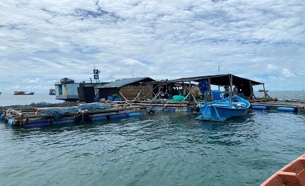 Kiên Hải tìm đầu ra cho 180 tấn cá tồn đọng