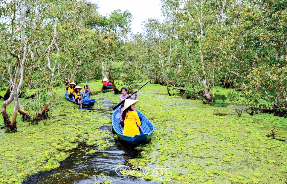Cà Mau: Bơi xuồng ba lá giữa U Minh Hạ