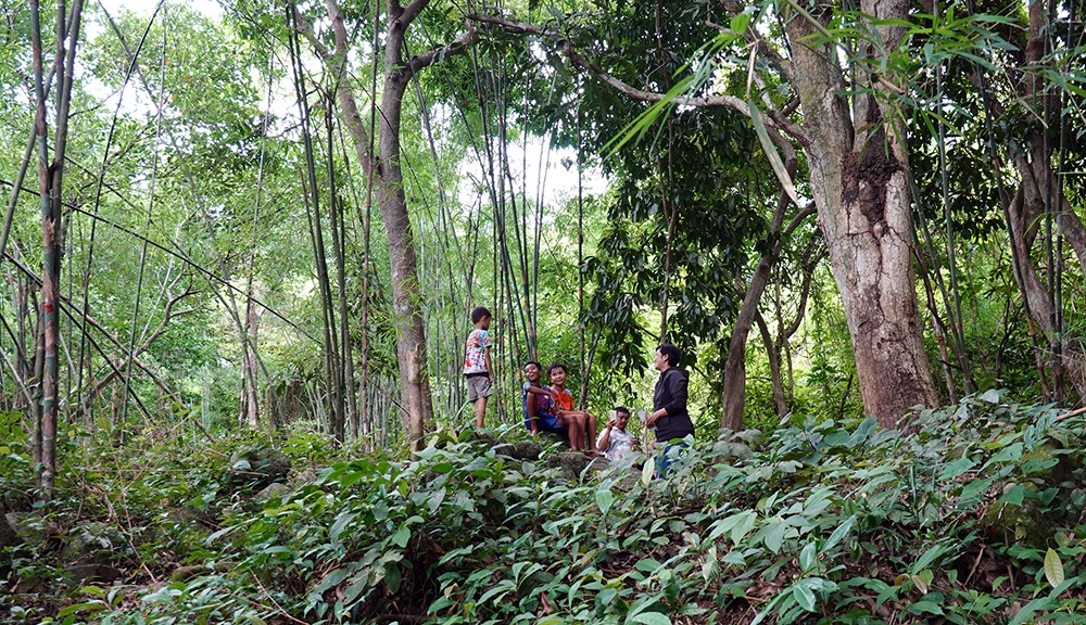 An Giang: Mộc mạc suối Ô Đá