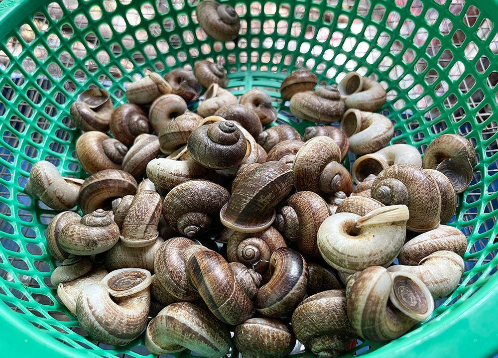 An Giang: Mộc mạc suối Ô Đá