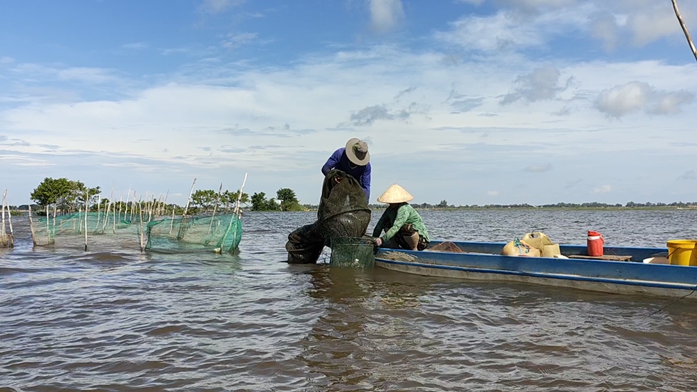 An Giang: Ngư dân đầu nguồn biên giới Tân Châu trúng mùa thủy sản mùa nước nổi