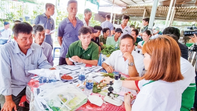 Cần Thơ: Hình thành đội ngũ người làm nông chuyên nghiệp