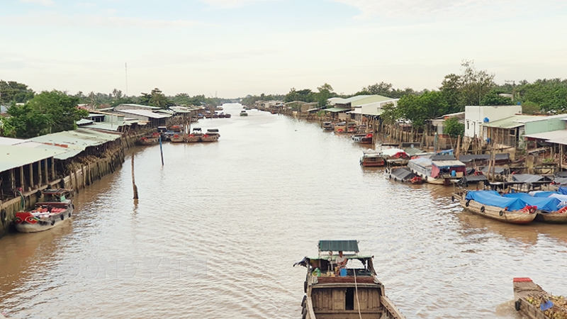 Bến Tre: Xây dựng và khai thác tuyến du lịch chợ nổi dừa sông Thom