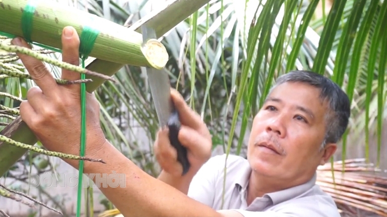 Bến Tre: Giữ vững vị thế cây dừa