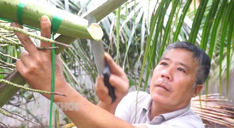 Bến Tre: Giữ vững vị thế cây dừa