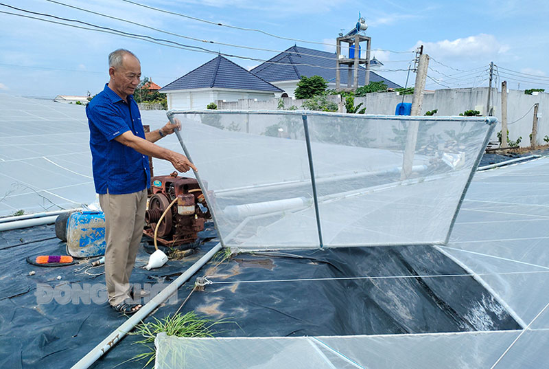 Người nuôi tôm chuẩn bị cho vụ tôm mới khi thị trường có tín hiệu khả quan.