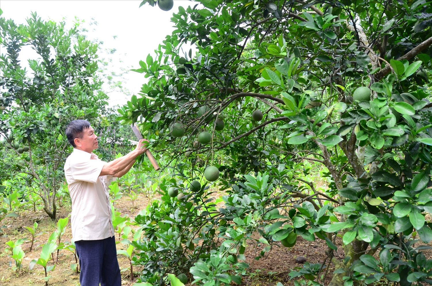 Ông “đa chiều”