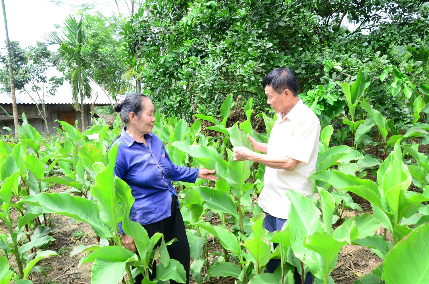 Ông “đa chiều”