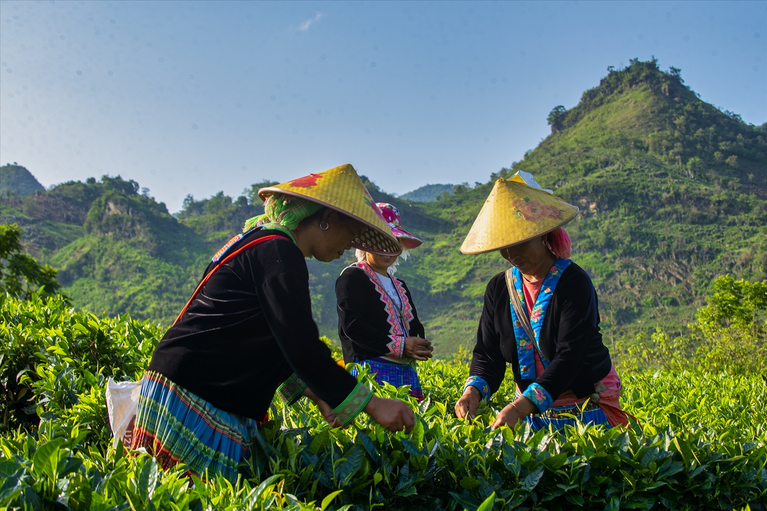 Quảng bá vẻ đẹp Lai Châu tại Quảng Bình