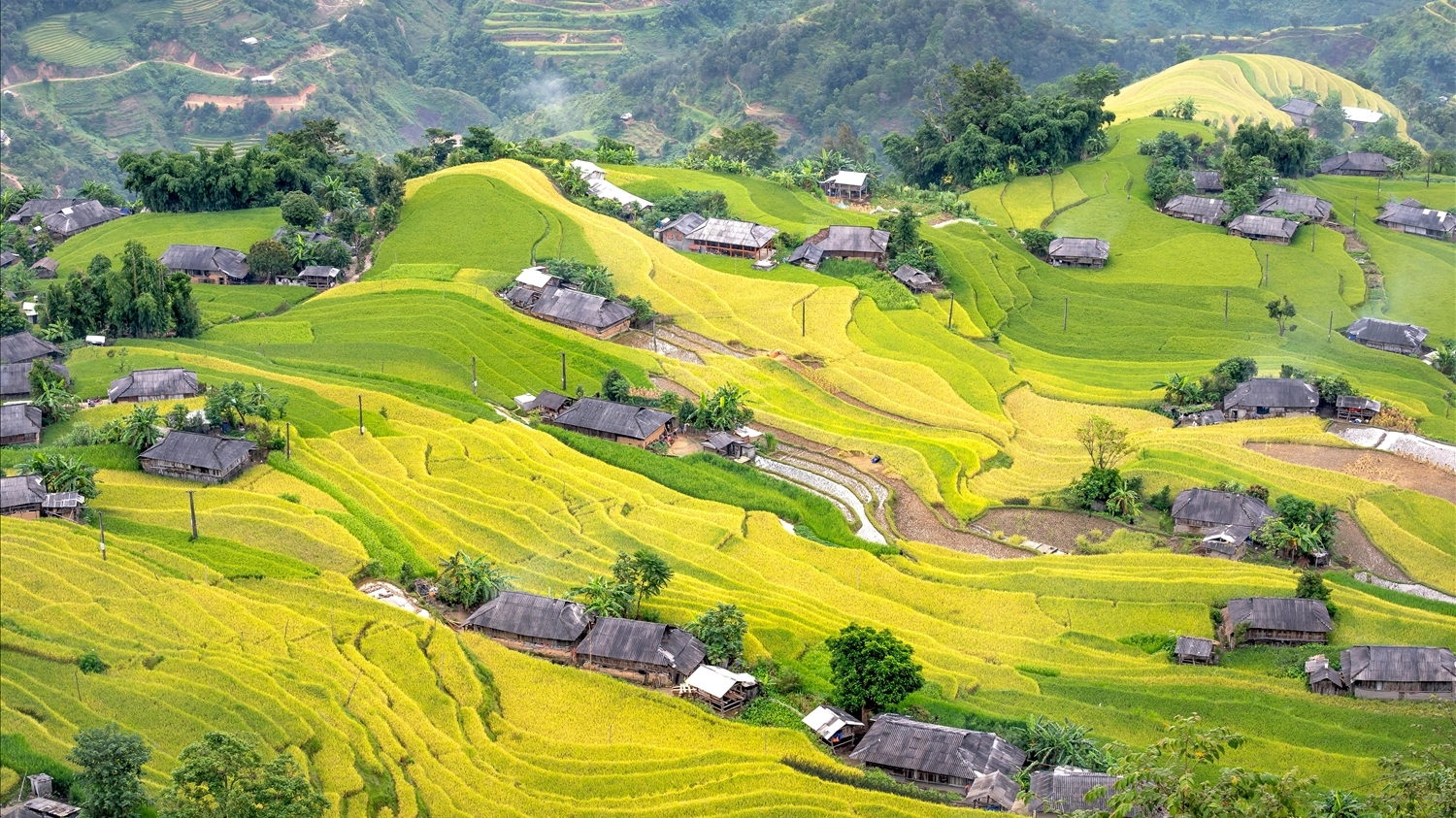 Dừng tổ chức Tuần văn hóa du lịch “Qua miền di sản ruộng bậc thang Hoàng Su Phì” năm 2024