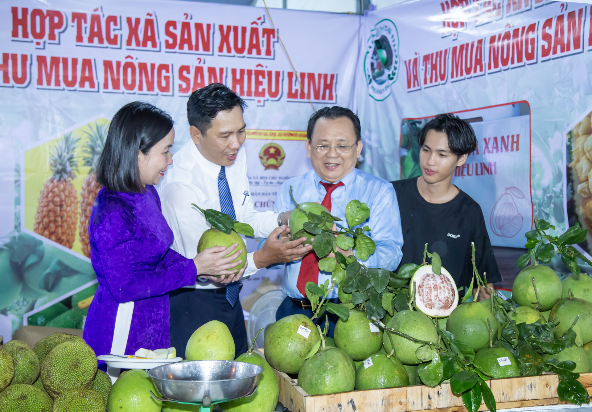 Khánh Hòa: Bưởi Hiệu Linh - quả ngọt nơi đất lành