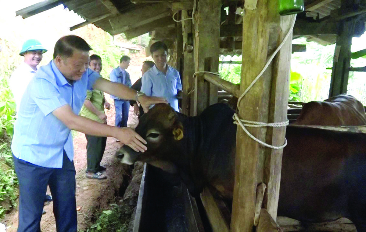 Hà Giang: Bắc Mê nỗ lực thoát khỏi tình trạng nghèo, đặc biệt khó khăn