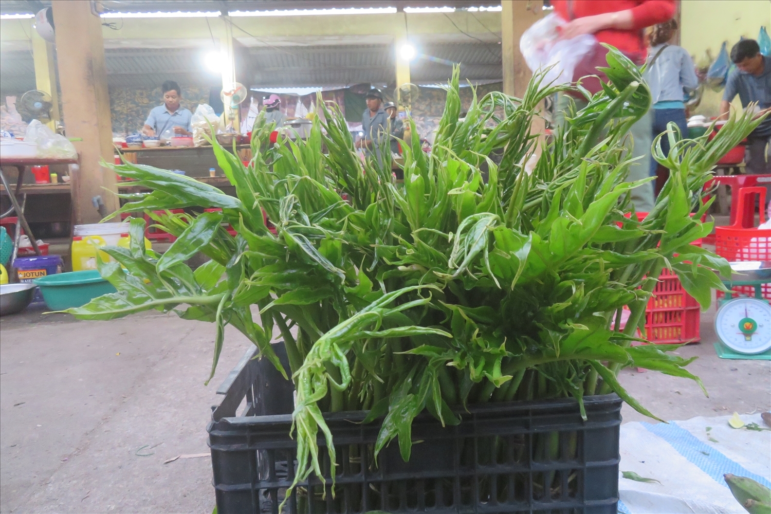 Vấn vương ẩm thực của người Mường ở Trà My