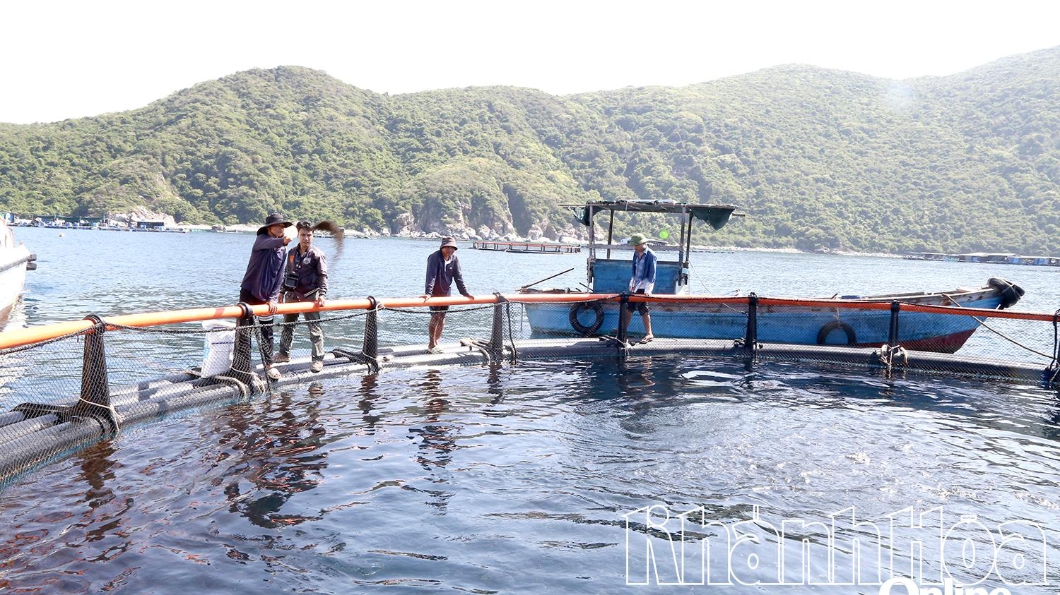 Khánh Hòa: Vươn khơi nuôi biển - Kỳ 1: Thúc đẩy phát triển nuôi biển công nghệ cao