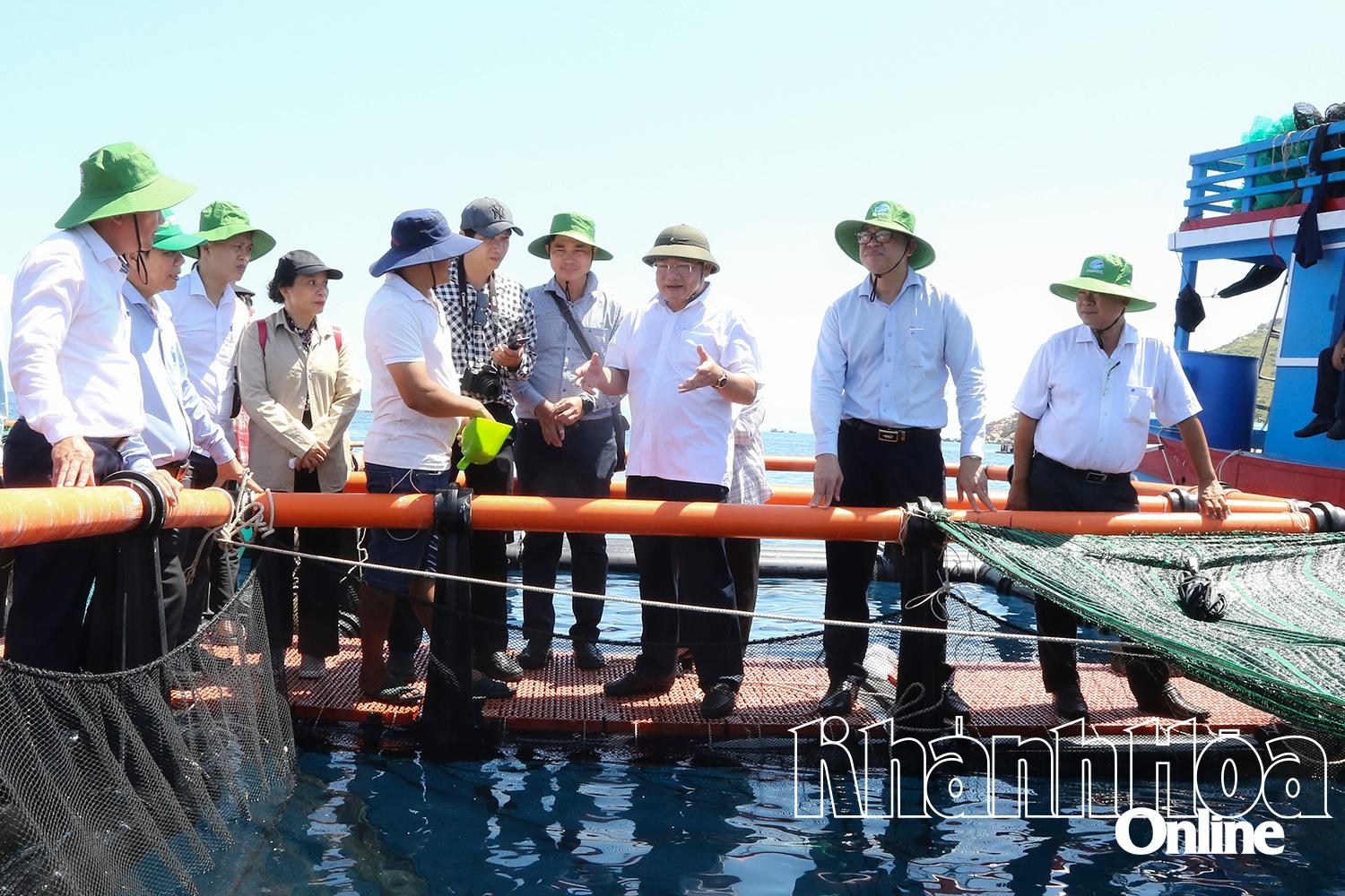 Khánh Hòa: Vươn khơi nuôi biển - Kỳ 1: Thúc đẩy phát triển nuôi biển công nghệ cao