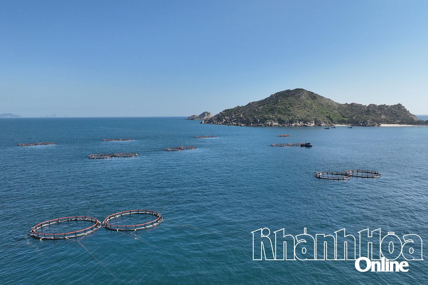 Khánh Hòa: Vươn khơi nuôi biển - Kỳ 1: Thúc đẩy phát triển nuôi biển công nghệ cao