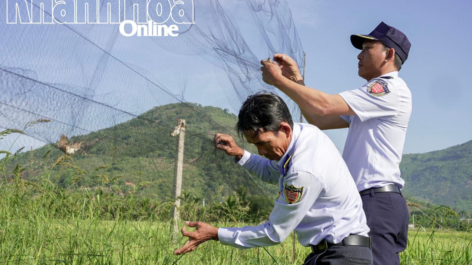 Khánh Hòa: Quyết liệt bảo vệ quần thể chim yến - Kỳ 1: Tài nguyên quý giá và mối nguy rình rập