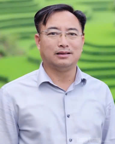 Tuyên Quang: Khai thác hiệu quả, bền vững giá trị di sản ruộng bậc thang