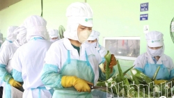 Khánh Hòa: "Bệ phóng" cho kinh tế tư nhân - Kỳ 1: Những “điểm nghẽn” cần khơi thông