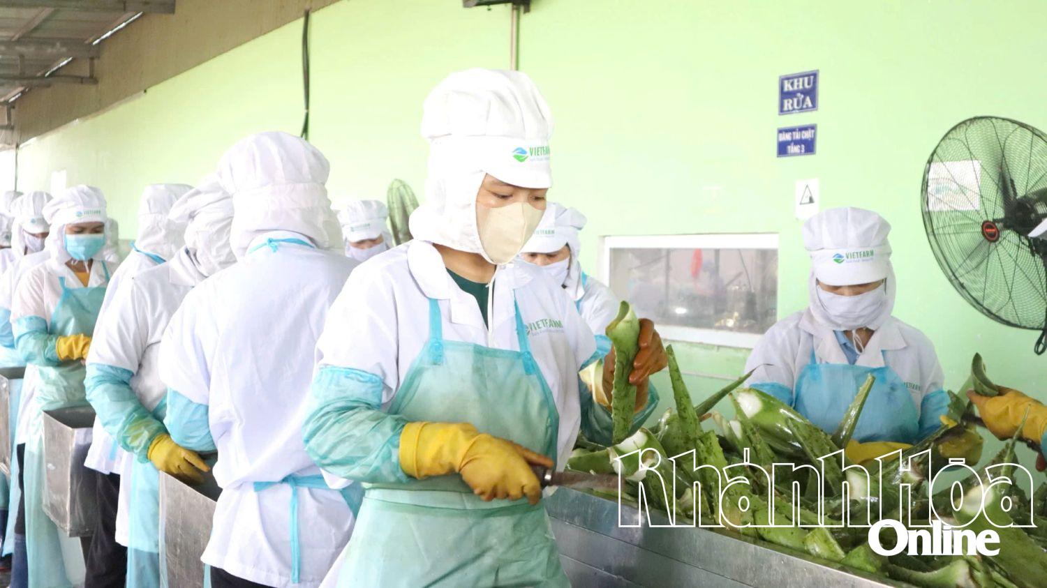 Khánh Hòa: "Bệ phóng" cho kinh tế tư nhân - Kỳ 1: Những “điểm nghẽn” cần khơi thông