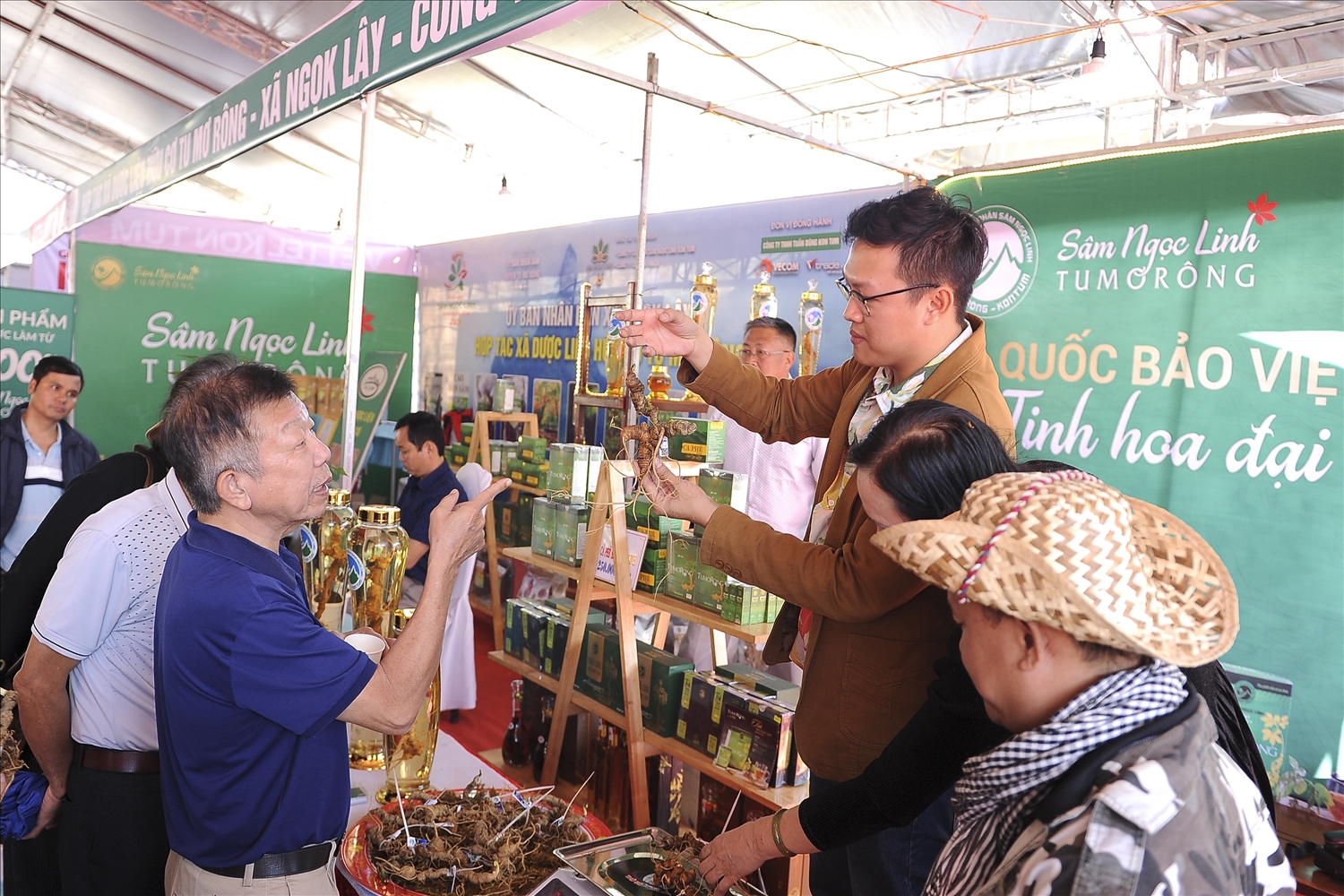 Người Xơ Đăng bảo tồn giống sâm quý trên đỉnh Ngọc Linh