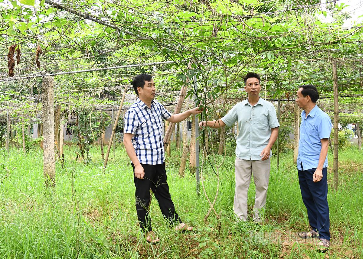 Tuyên Quang có hai “Nông dân Việt Nam xuất sắc” năm 2025