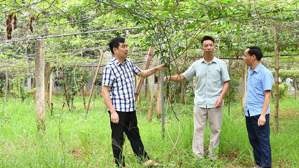Tuyên Quang có hai “Nông dân Việt Nam xuất sắc” năm 2025