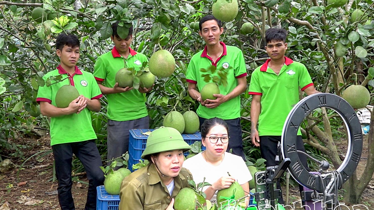 Khánh Hòa: Nỗ lực xây dựng thương hiệu cho nông sản miền núi