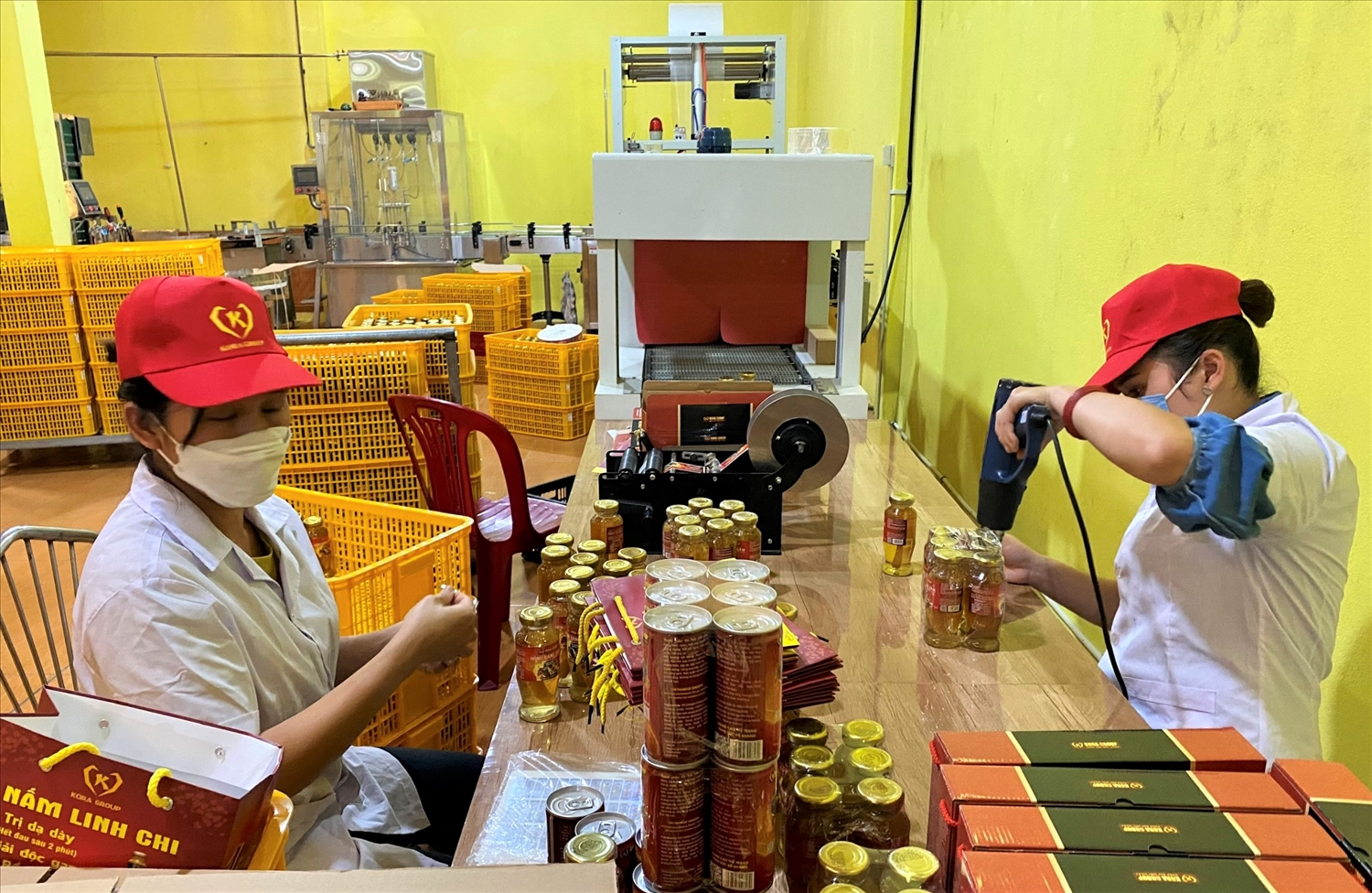Bền Chí Thịnh với ước mơ nâng tầm giá trị sản phẩm dược liệu