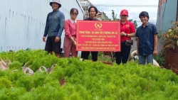 Bền Chí Thịnh với ước mơ nâng tầm giá trị sản phẩm dược liệu