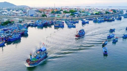 Khánh Hòa: Phát triển Cà Ná thành đô thị công nghiệp